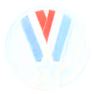 Ingo_Vernabile Logo