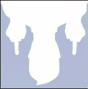 Giotto.die.längste.Prealine.der.Welt12