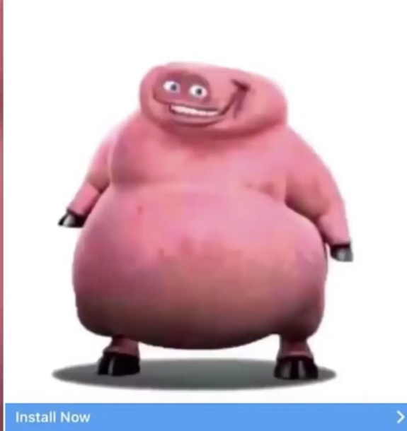 bitchkuchen Profilbild